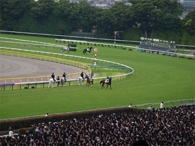 第77回東京優駿（日本ダービー）の返し馬で待機中のエイシンフラッシュとペルーサ