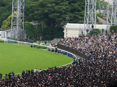 日本ダービーでエイシンフラッシュと内田博幸騎手のウイニングラン