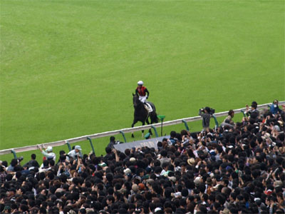 エイシンフラッシュのウイニングランと騎乗する内田博幸騎手