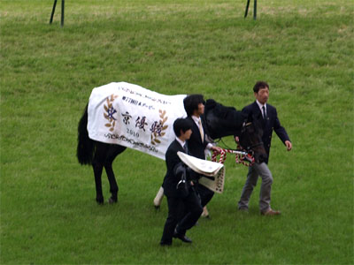 日本ダービーの優勝馬用馬着を着装したエイシンフラッシュ