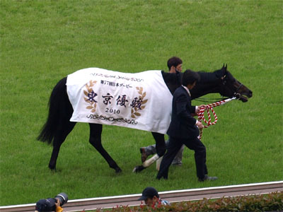 日本ダービーの優勝馬用馬着を着装して歩行中のエイシンフラッシュ