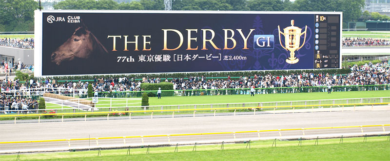東京競馬場のターフビジョン（大型ディスプレー）に表示された「第77回東京優駿（日本ダービー）」の案内
