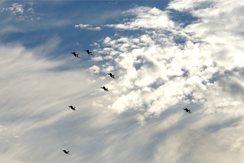 秋の多彩な雲をバックに飛行する７機のT4練習機