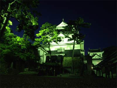 緑色にライトアップされた夜の岡崎城