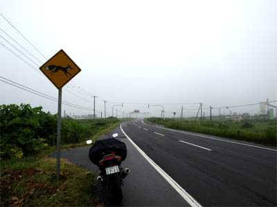 悪天候の曇り空の下、殺風景な国道５号線の路肩に停めたバイクと「狐の飛び出し注意」の道路標識