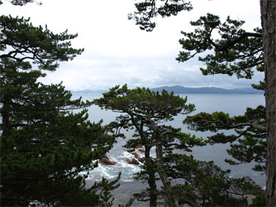 泊崎の先端にある歌津崎から見た太平洋の景色