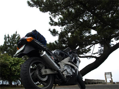 淡路島の慶野松原の駐車場に停めたバイクと頭上にある松の木