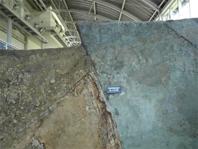 淡路島の野島断層保存館にある阪神淡路大震災によりずれた地層の断面
