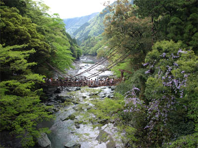 大勢の観光客が渡っている祖谷渓のかずら橋