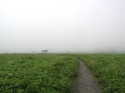 霧で霞んでいる霧多布岬の遊歩道