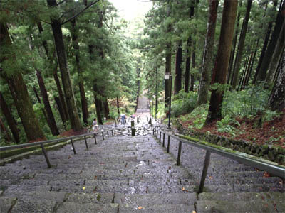 身延山 久遠寺の菩提梯（急勾配の石段）を上から眺めたところ