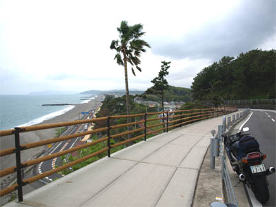 桂浜花街道こと高知県道14号線沿いに延びる海岸線と砂浜を眺めることができる桂浜を出た高台（高知県道34号線）