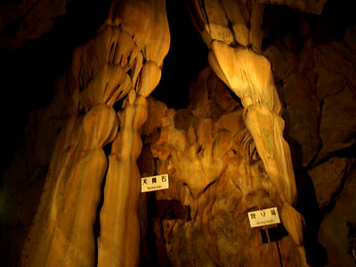 龍河洞の中で見られる特徴的な鍾乳石
