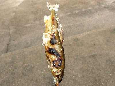 井倉洞の入り口の前で売っている鮎の塩焼き