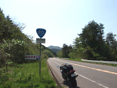 大山から続く国道313号線の道路標識