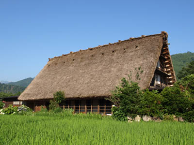 田んぼの先に見える白川郷の合掌造りの藁ぶき屋根