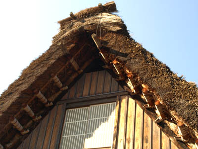 白川郷の合掌造りの茅葺屋根をアップで見たところ