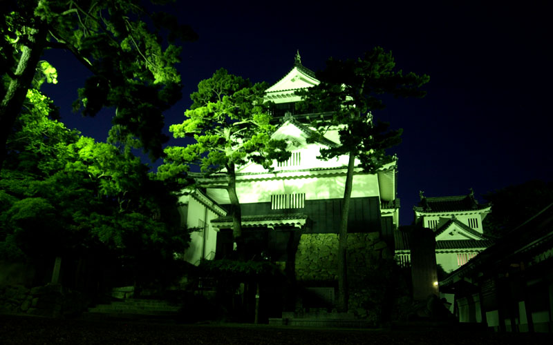 緑色にライトアップされた岡崎城