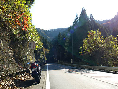 南秋川渓谷をツーリング中のバイク(ZZR400)