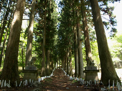 城峯神社 (埼玉県神川町)