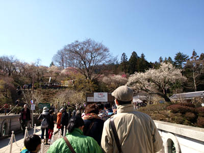 entrance of Yoshino plum-grove park in Ome